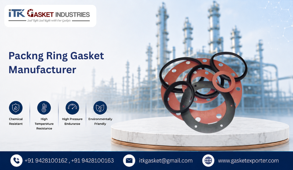 Packng Ring Gasket Manufacturer