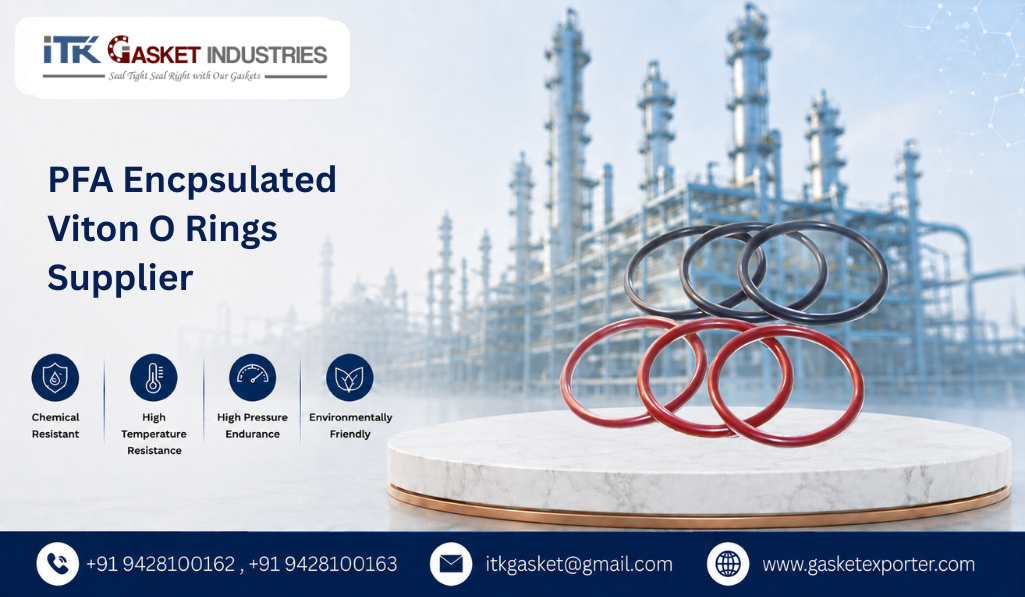 PFA Encpsulated Viton O Rings Supplier