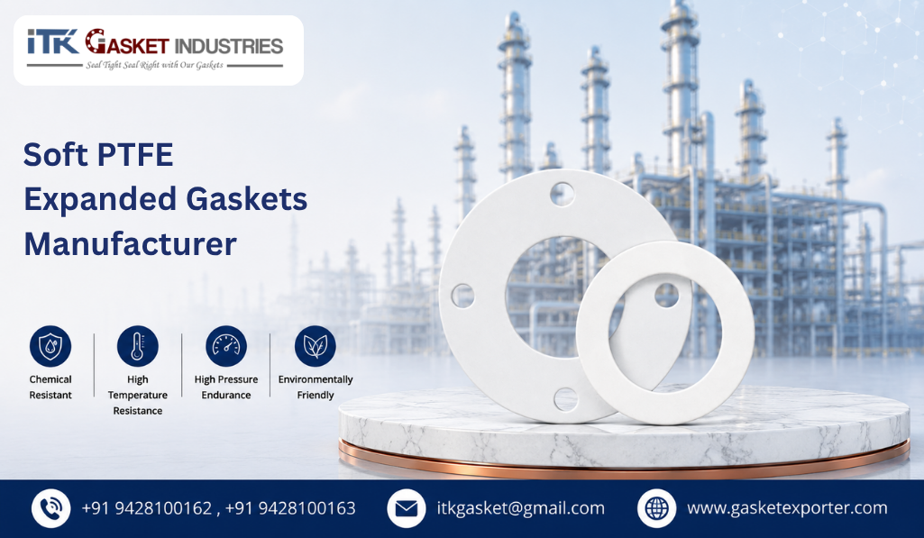 Soft PTFE Expanded Gaskets Manufacturer